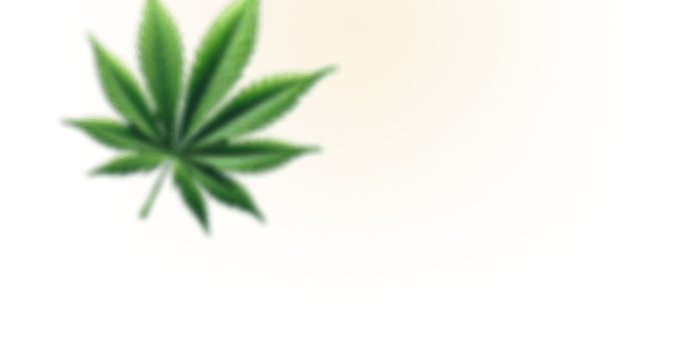 Top Leaf 1
