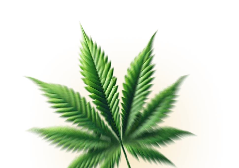 Top Leaf 2
