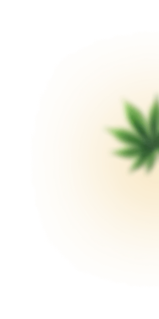 Top Leaf 3