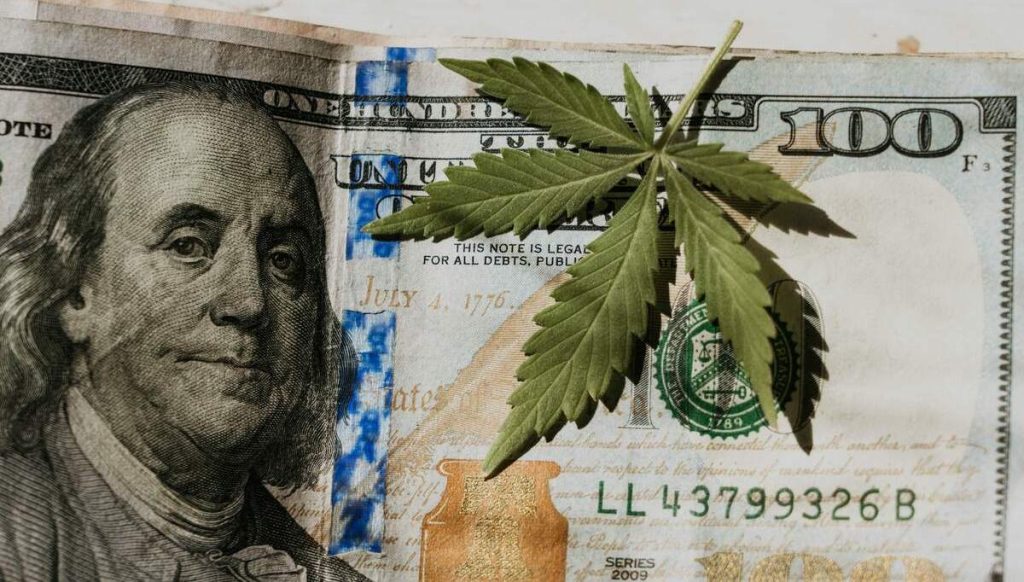 a cannabis leaf on a huindred dollar bill