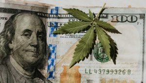 a cannabis leaf on a huindred dollar bill