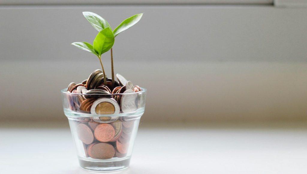 a plant grows out of a glass filled with coins